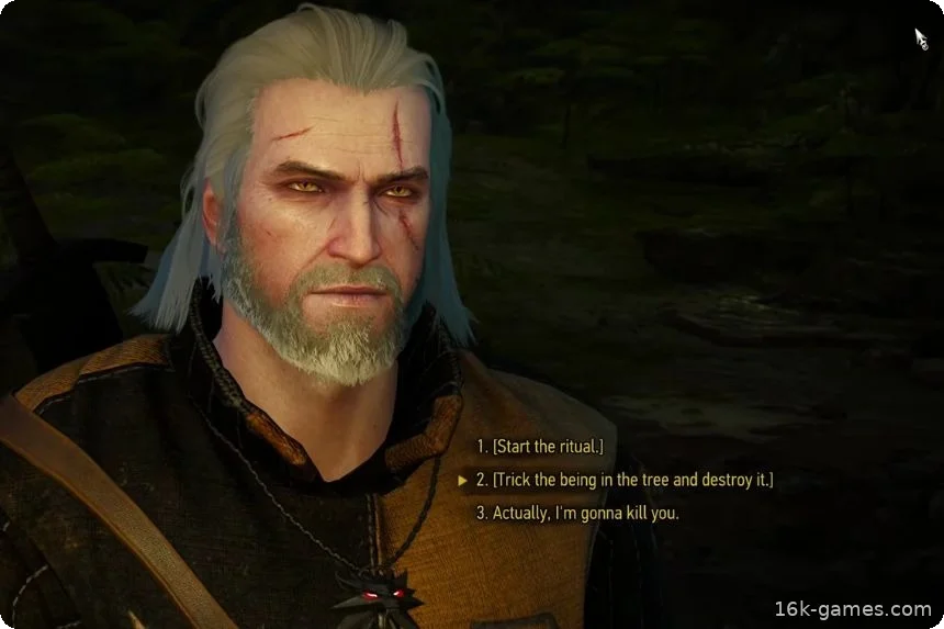 Все основные выборы и их последствия в The Witcher 3: Wild Hunt – Remastered