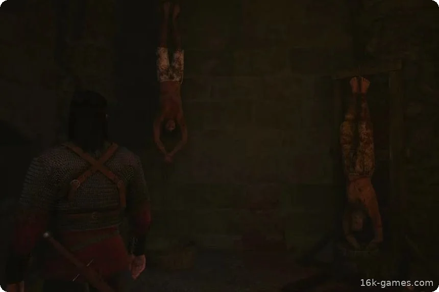 Все 20 заданий в Амбрус-Корт в игре The Blood of Dawnwalker