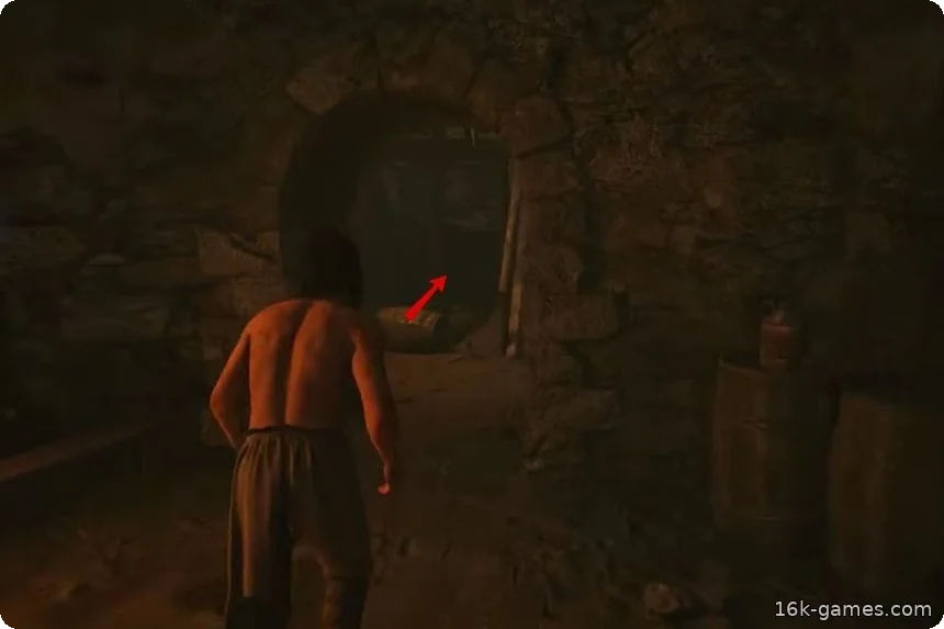 Все 20 заданий в Амбрус-Корт в игре The Blood of Dawnwalker
