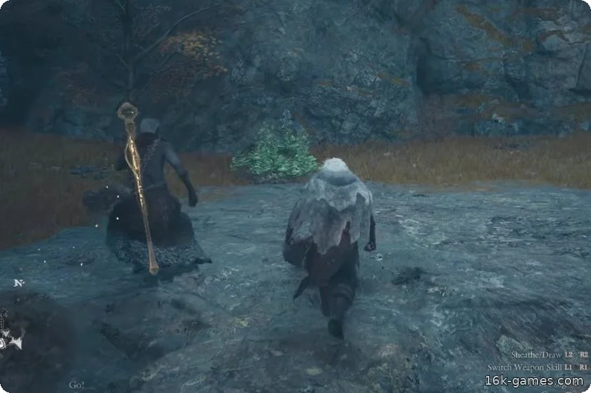 Где найти цветок зимней травы в Dragon’s Dogma 2: Dark Arisen