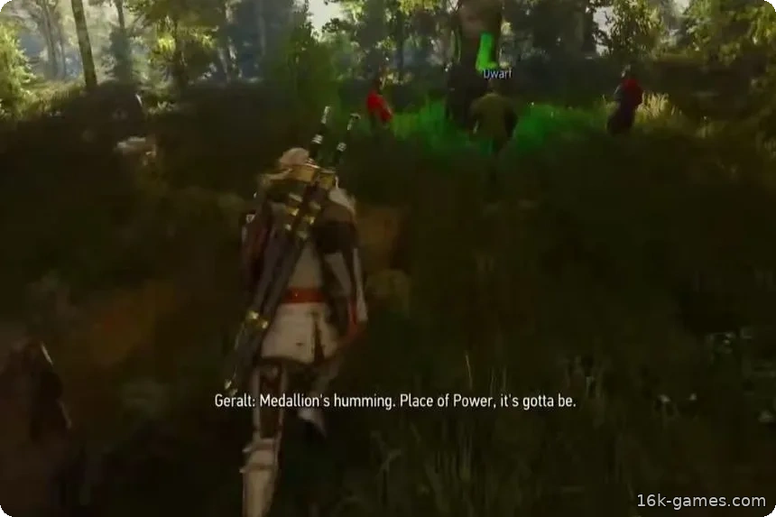 Руководство по трофею «Власть, превосходящая всё» – The Witcher 3: Дикая Охота. Обновлённая версия