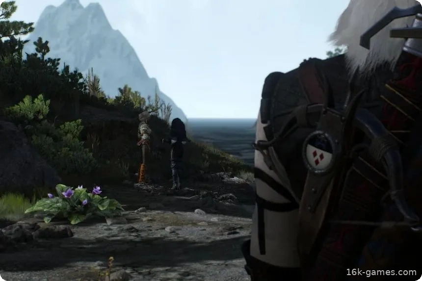 Все основные концовки в The Witcher 3: Wild Hunt – Remastered